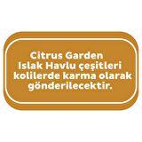Sleepy Citrus Garden Islak Bebek Havlusu 12x90 (1080 Yaprak)
